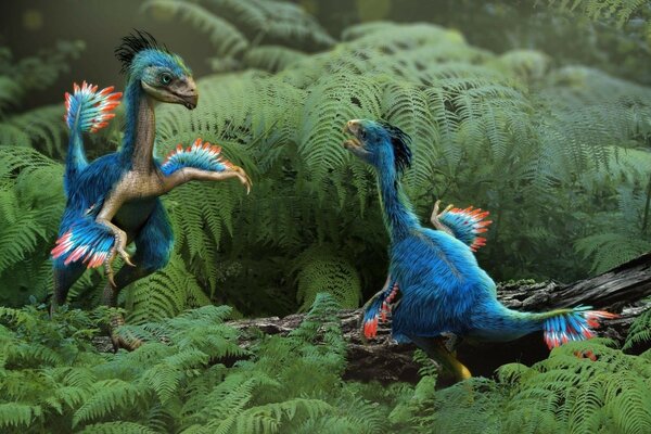 Oiseaux ressemblant à des dinosaures