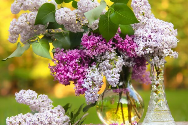 A beautiful bouquet of colorful lilacs