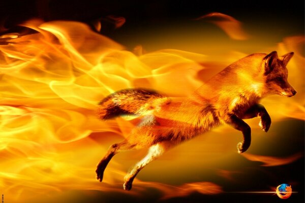 Ein Fuchs, der aus dem Feuer sprang