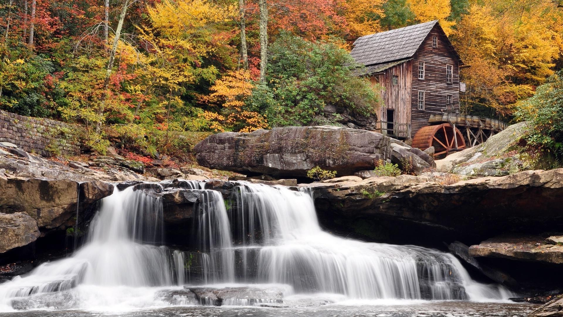 waterfalls water waterfall fall river stream cascade nature wood flow creek leaf rock landscape outdoors rapids motion travel tree scenic