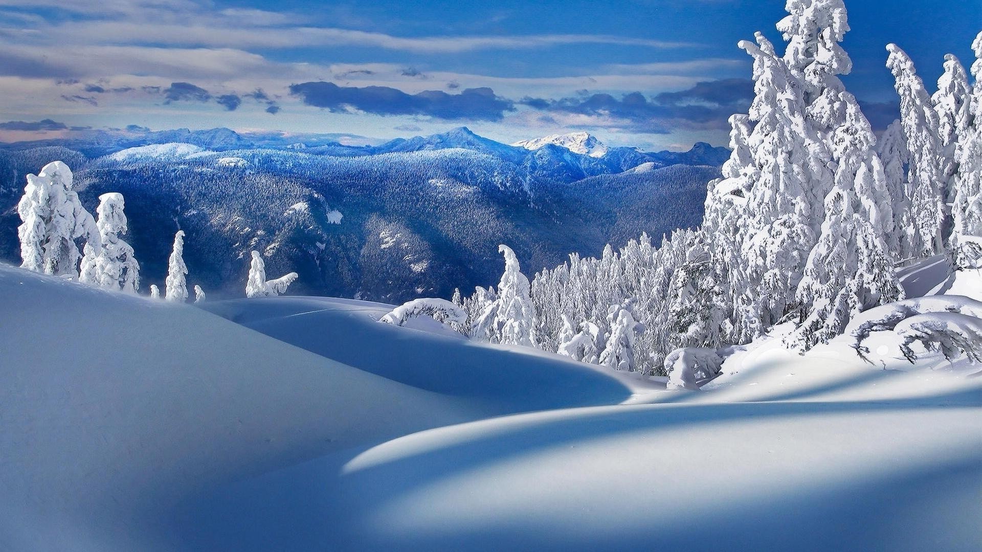 冬天 雪 冷 冰 山 霜 冰冻 风景 风景 粉 雪 木 霜 全景 季节 山峰 高山 冰