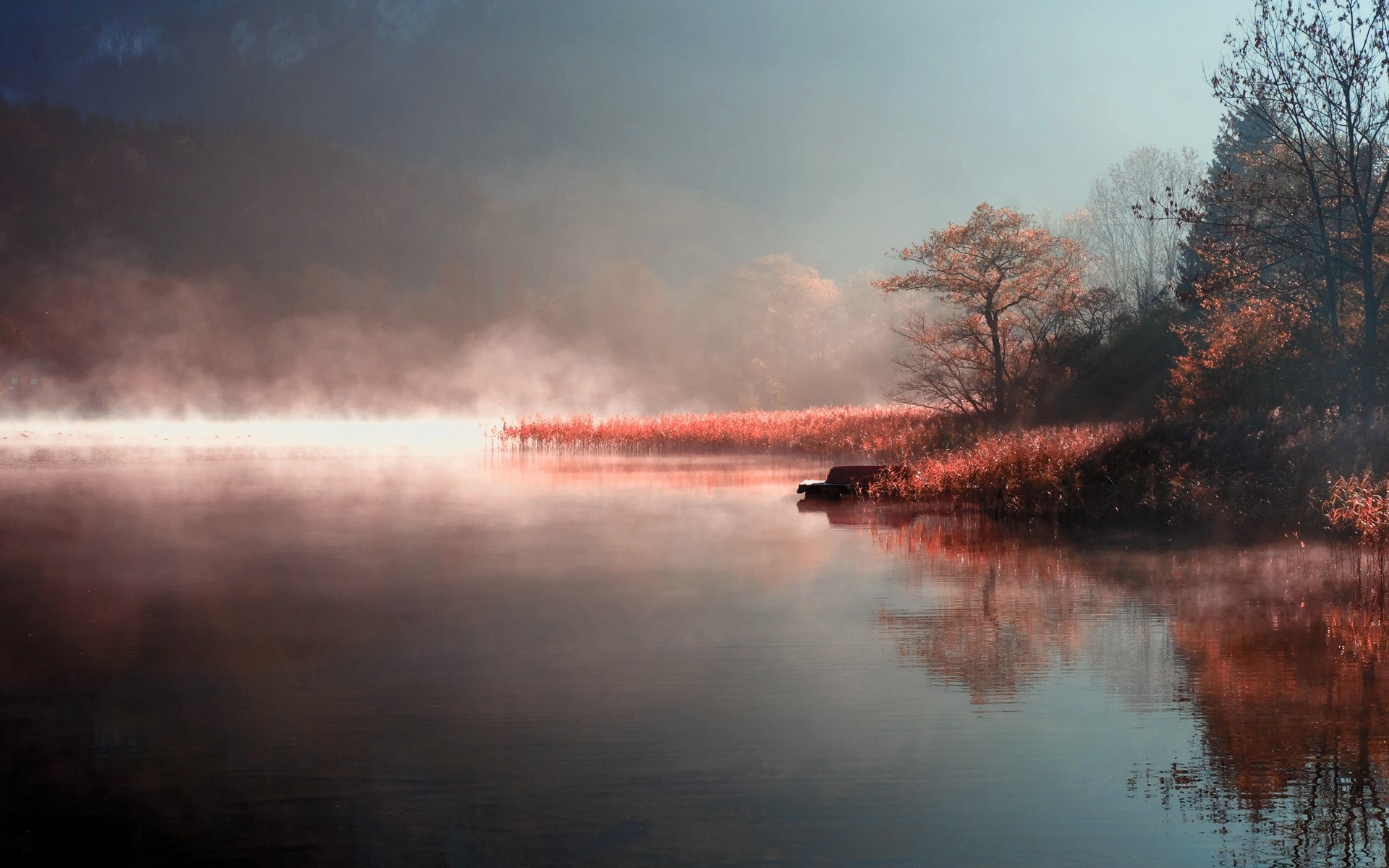 atardecer y amanecer agua paisaje amanecer atardecer niebla reflexión lago noche niebla árbol tiempo