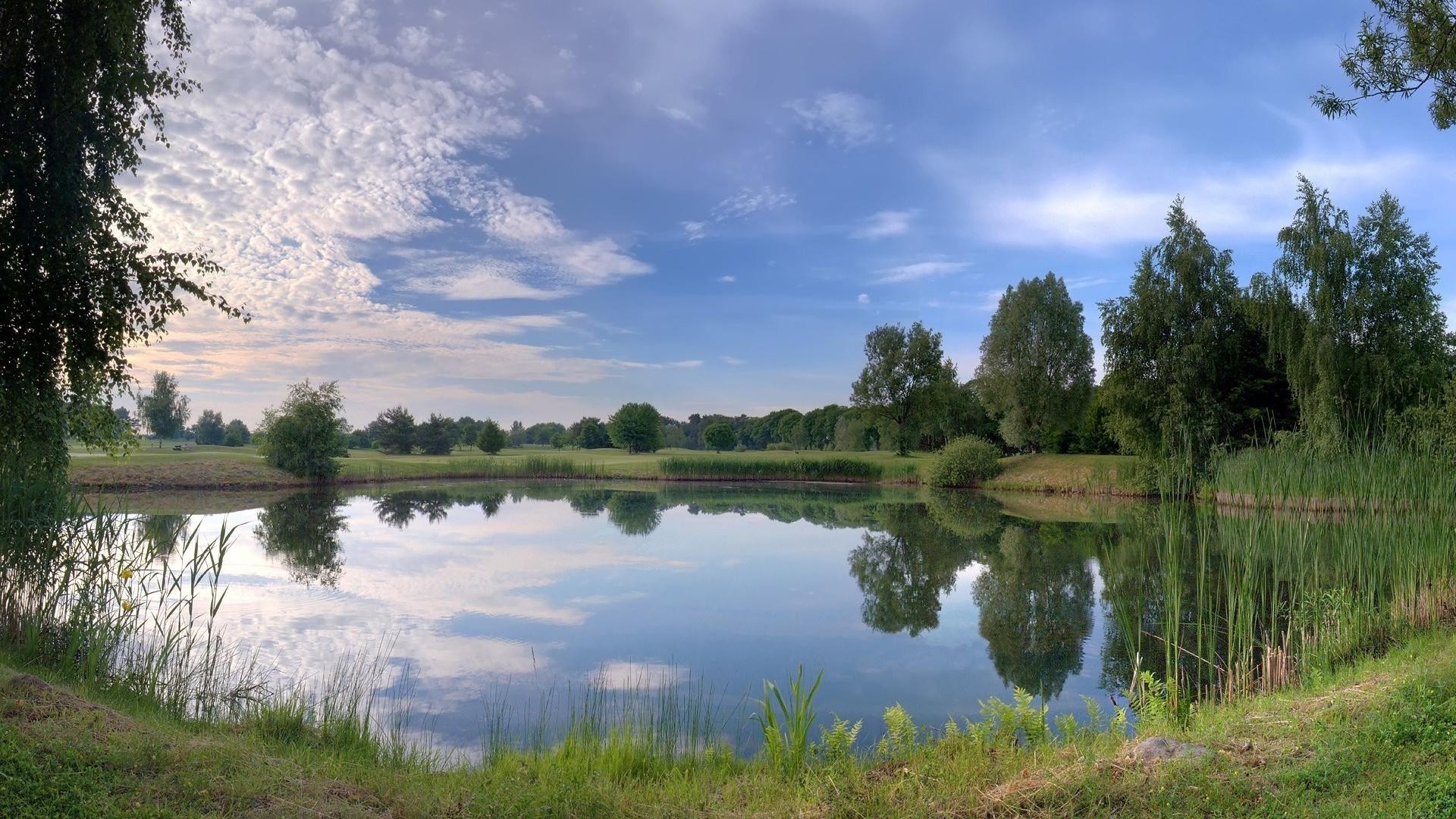 lake reflection water nature landscape grass tree river pool outdoors sky summer placid