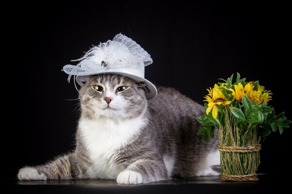 Pussy in a white hat with a bouquet of flowers