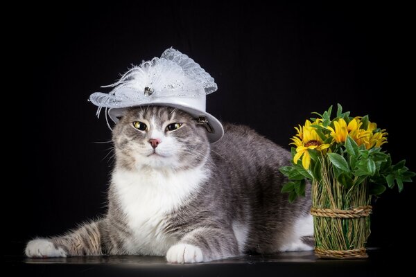 Coño en un sombrero blanco con un ramo de flores