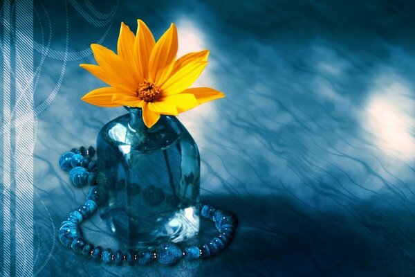 A FLOWER IN A VASE AND BEADS ON THE TABLE