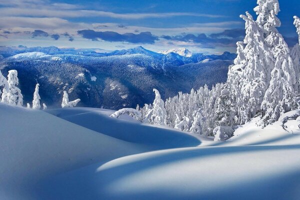 Winter cold landscape in the mountains