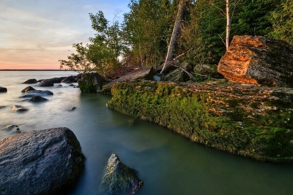 Massi sulla riva del lago della foresta