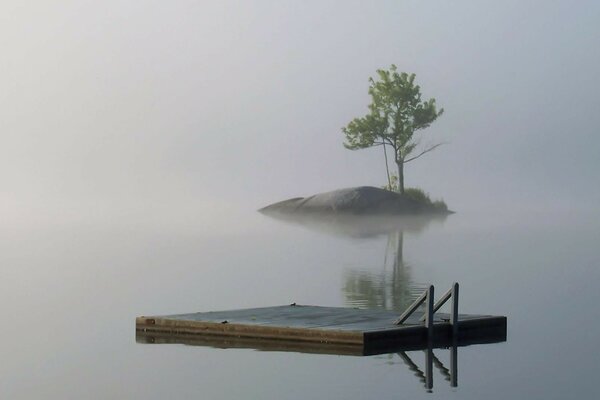 Île solitaire dans le brouillard avec un arbre