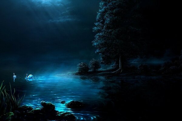 The river reflects the moonlight