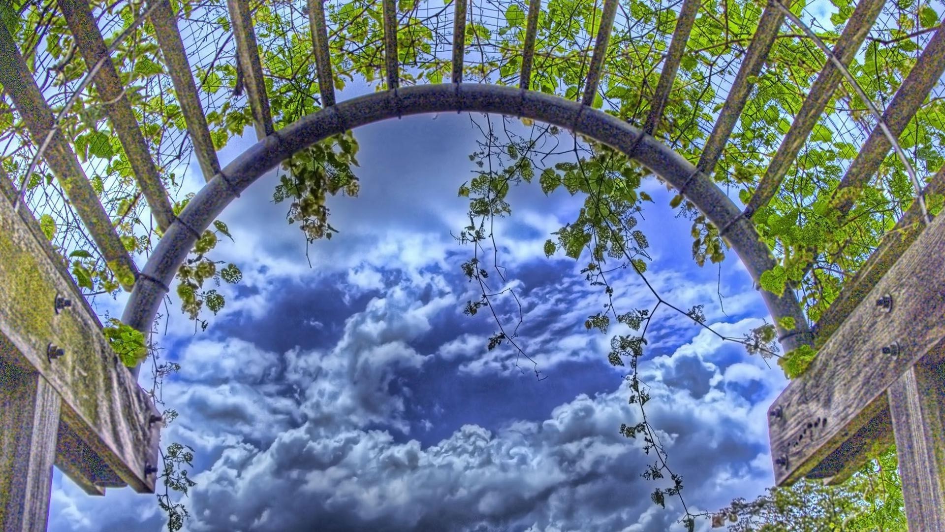 paysage arbre nature feuille branche bois flore à l extérieur saison beau temps parc ciel croissance été lumineux