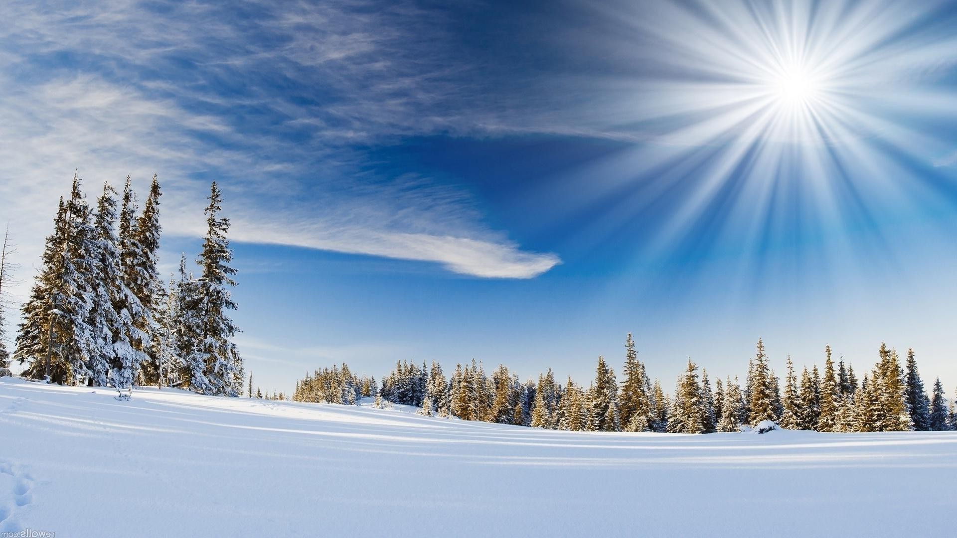 inverno neve madeira frio geada madeira bom tempo gelo paisagem tempo congelado cênica natureza temporada amanhecer evergreen montanhas coníferas