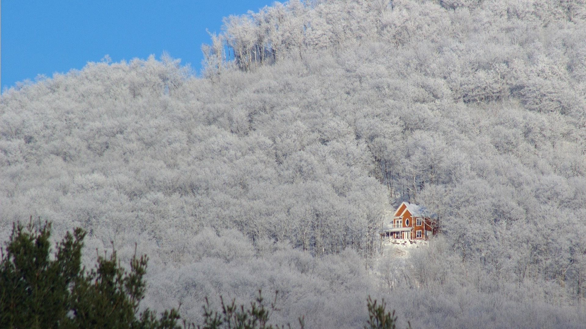 winter schnee kälte frost landschaft wetter baum tageslicht im freien himmel gefroren holz reisen natur eis saison landschaftlich