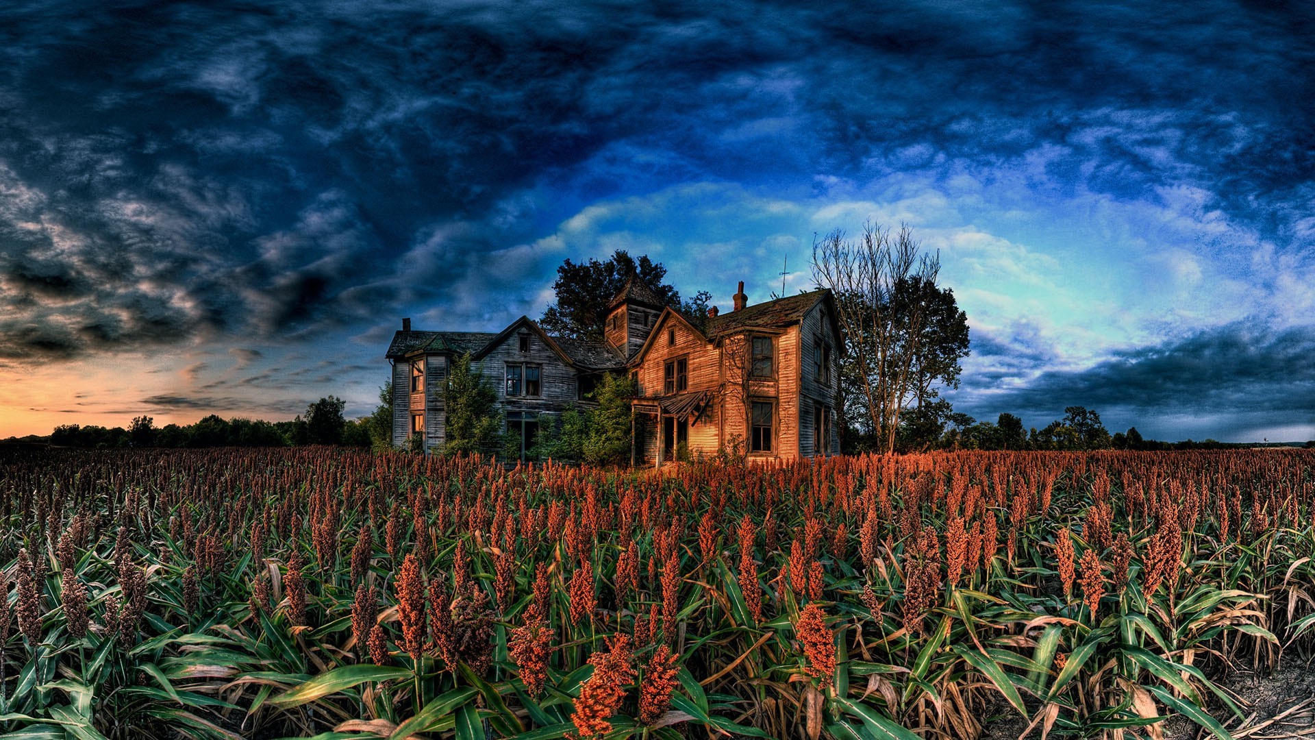 automne agriculture ferme en plein air ciel paysage nature récolte campagne aube été croissance champ terres cultivées voyage fleur rural coucher de soleil pâturage flore