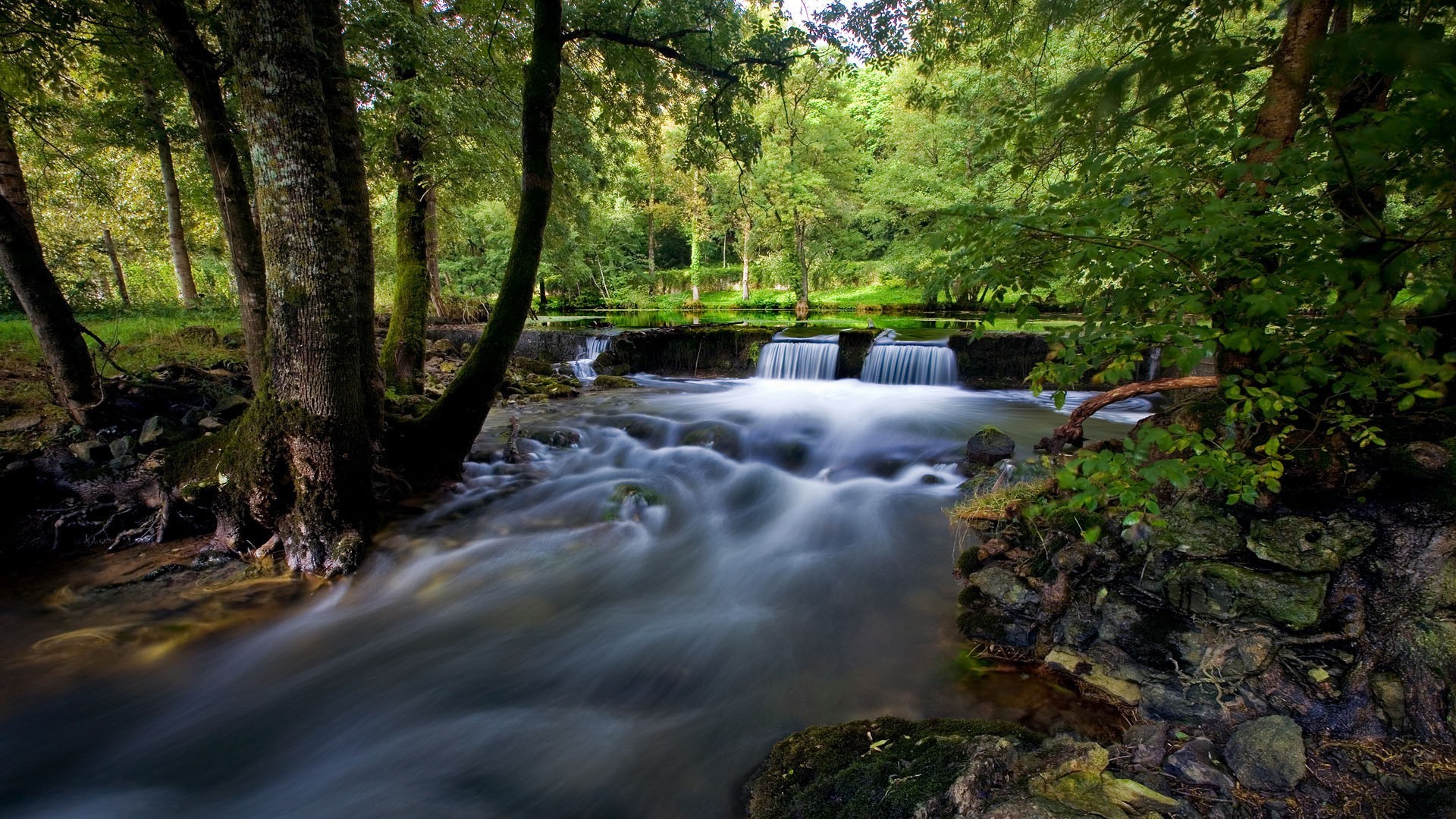 waterfalls water river wood waterfall stream nature fall leaf landscape creek tree moss outdoors cascade park rapids wet rock photograph