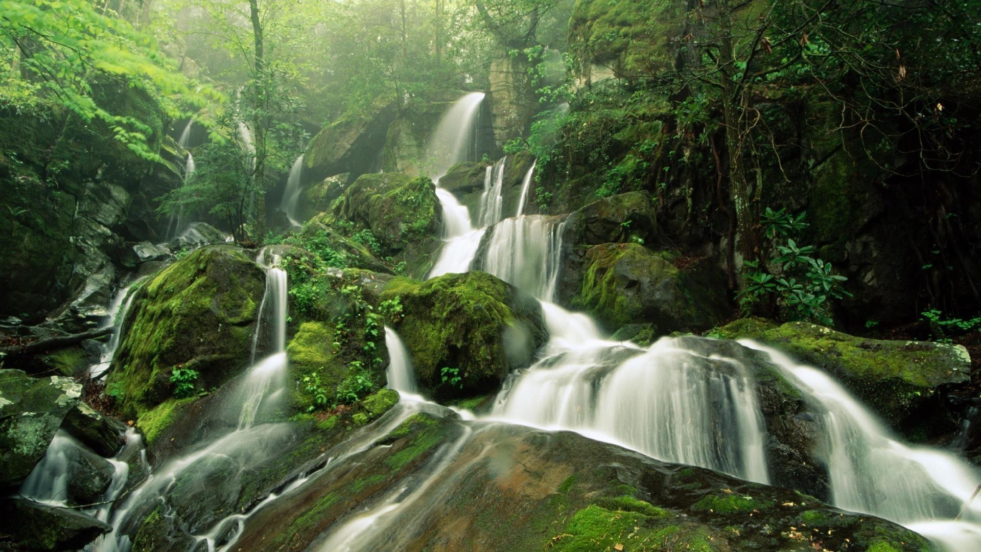 waterfalls waterfall water wood nature river stream rock cascade leaf landscape moss wet travel lush outdoors wild flow fall mountain