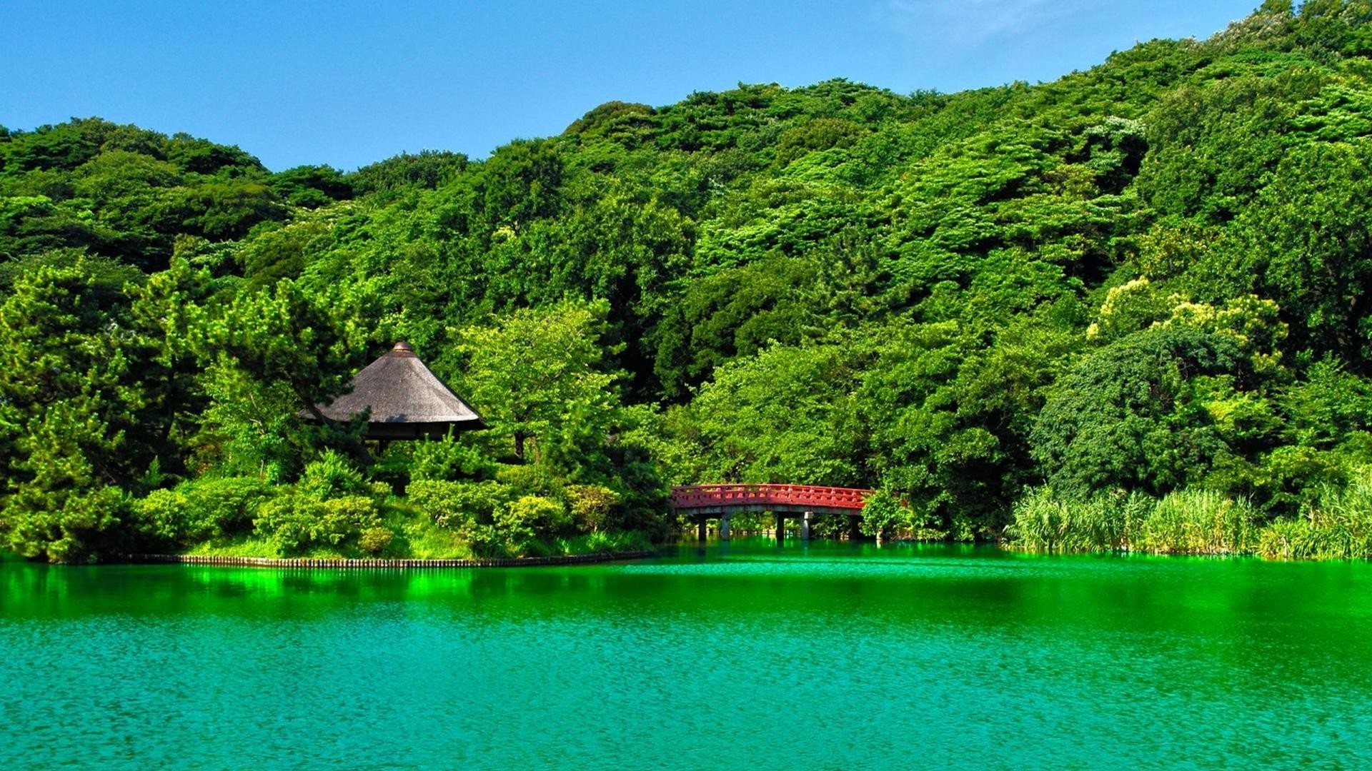 flüsse teiche und bäche teiche und bäche wasser holz reisen holz natur landschaft see insel sommer idylle tropisch landschaftlich schön im freien berge fluss tourismus reflexion himmel