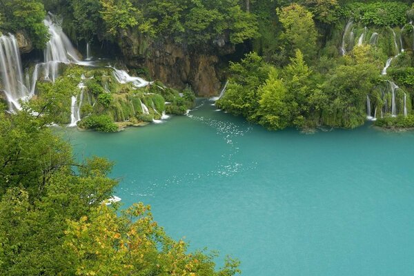 Tropischer Wasserfall. Grüner Dschungel. Ein Paradies