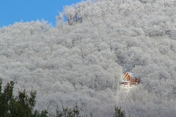 Casa solitaria cálida y acogedora en el bosque de invierno