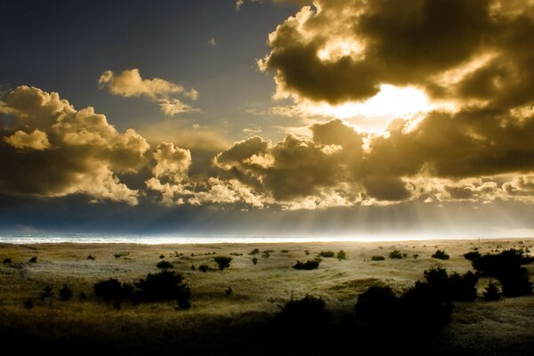 Plage avec soleil et rayons