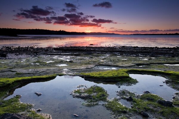 Coucher de soleil près du réservoir. Paysage