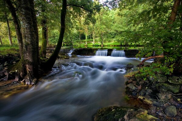 Kleiner Wasserfall im Stadtpark