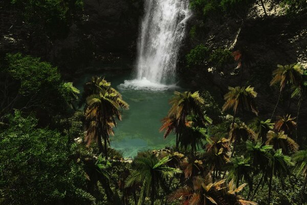 Stürmischer Wasserfall im Regenwald