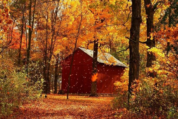 Ein einsames Haus mitten im Wald