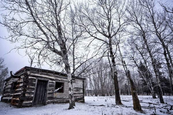 Maison abandonnée dans la forêt d hiver