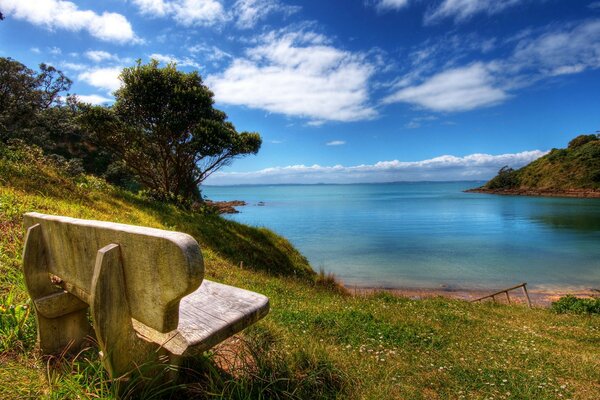 Wooden bench with lake view