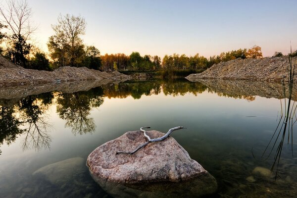 Pedra grande em um pequeno lago