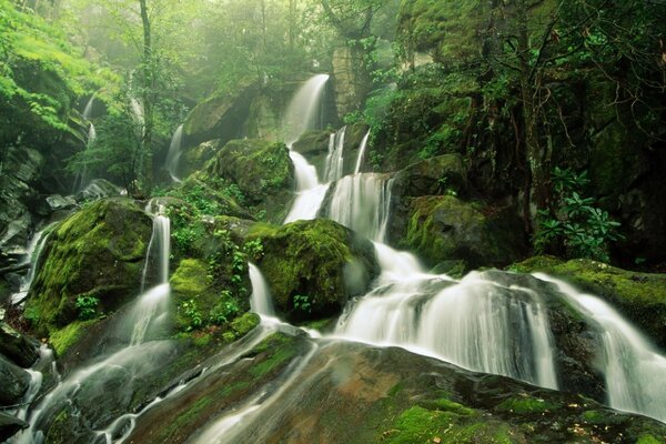 Großer Wasserfall im wilden Dschungel