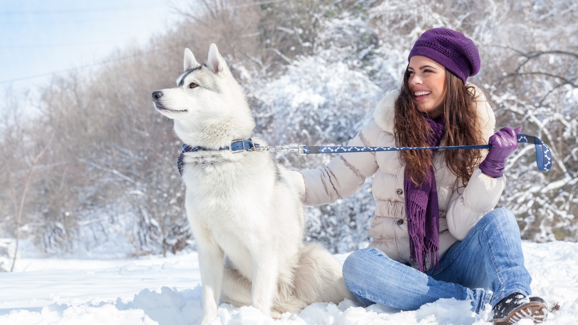 con gli animali inverno neve freddo divertimento slitta gelo stagione gelido all aperto donna