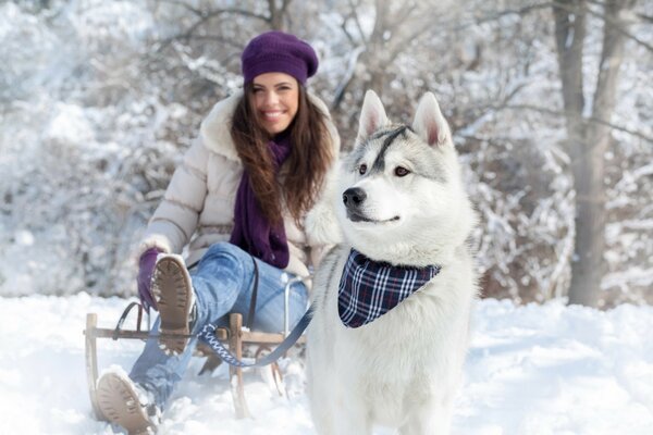 A girl on a winter walk with a husky