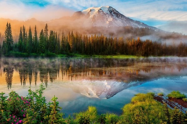 Superficie liscia del Lago sullo sfondo di foreste e montagne