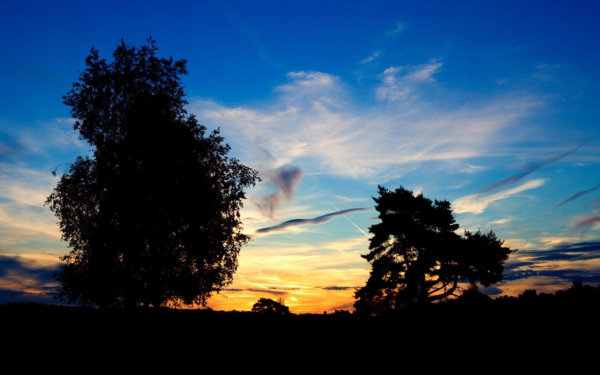 atardecer y amanecer atardecer árbol paisaje amanecer sol naturaleza cielo noche silueta iluminado buen tiempo al aire libre crepúsculo luz verano