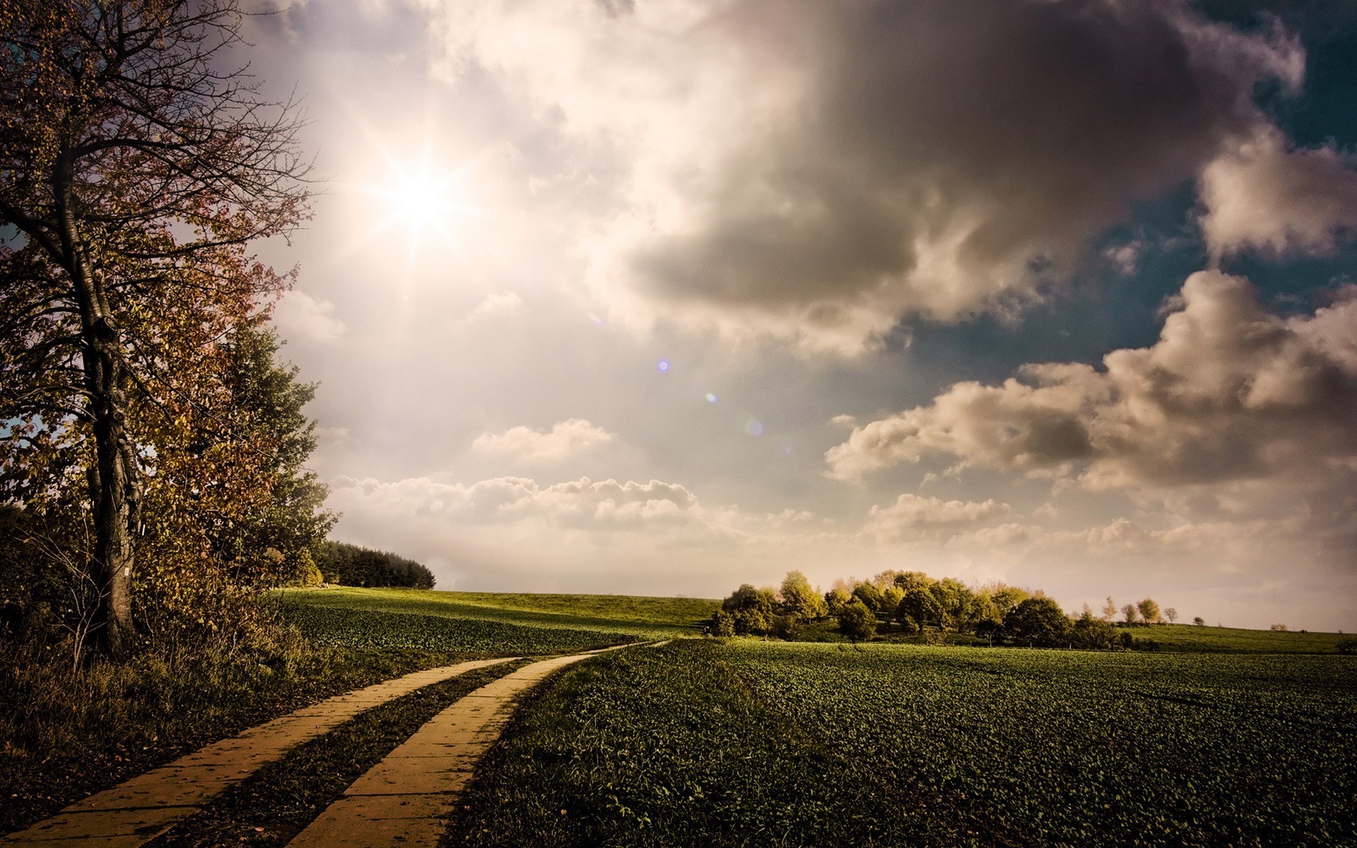 road landscape nature sky sunset sun rural tree dawn countryside field fall light fair weather outdoors farm grass country wood