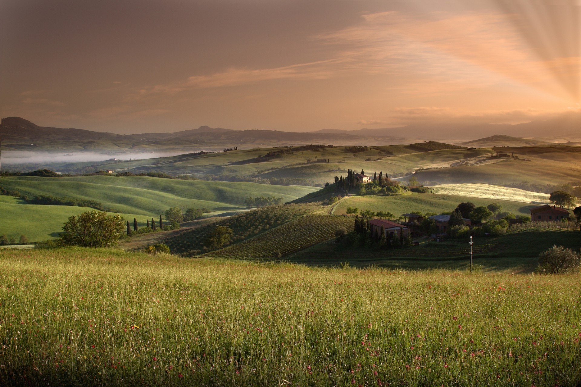 champs prairies et vallées paysage coucher de soleil aube ciel terres cultivées voyage à l extérieur nature herbe soir eau campagne agriculture soleil