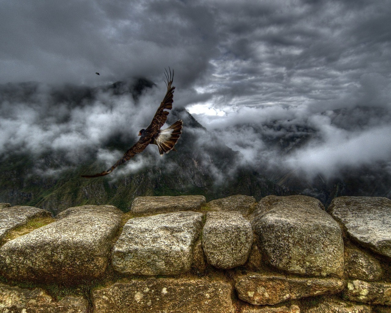 animais natureza paisagem rocha ao ar livre pedra água céu