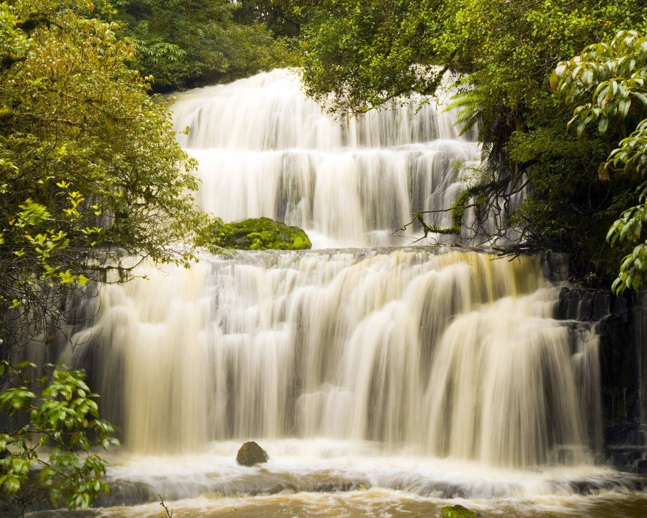 cascades cascade eau nature bois automne rivière ruisseau cascade feuille à l extérieur flux voyage humide rock slick propreté été paysage propre