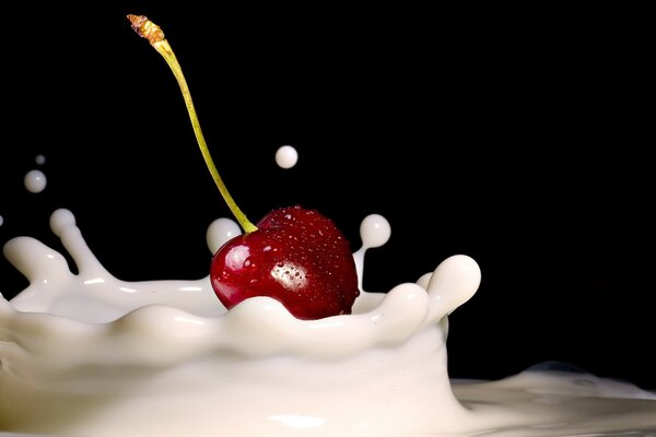 Cereza roja cayó en la leche