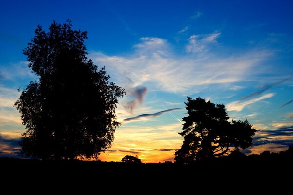 Classique russe coucher de soleil quelque part dans le désert