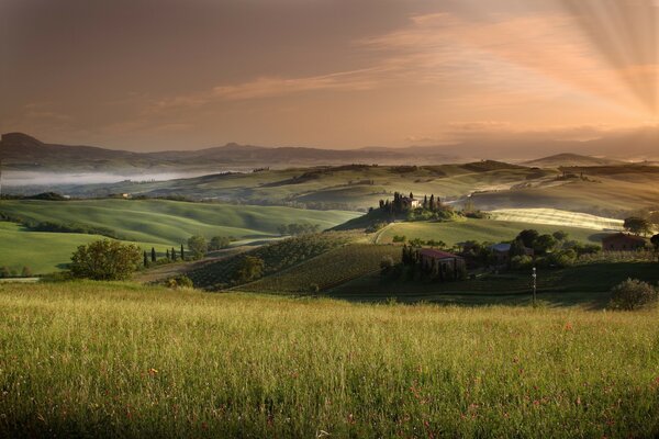 Beautiful landscape of meadows and sunset