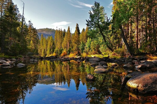 Naturfoto im Herbst. Teich im Wald