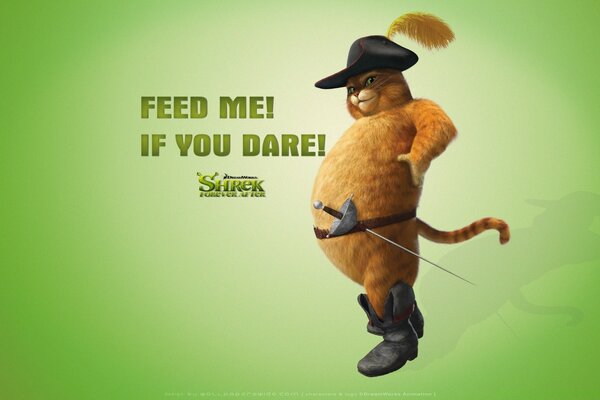 Plumper gatto con gli stivali da cartone animato Shrek