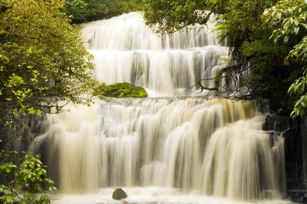 Ein schicker Wasserfall unter den Bäumen