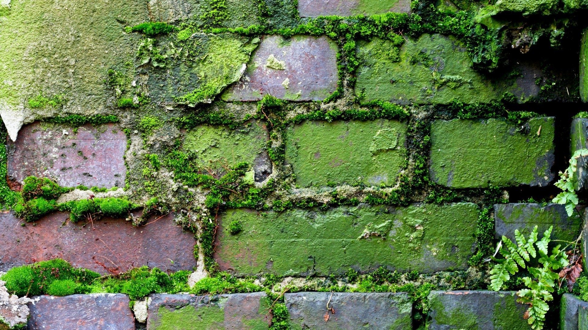 hormigón pared textura escritorio patrón viejo superficie piedra áspero abstracto construcción expresión ladrillo fondo cemento exterior papel pintado tela flora casa