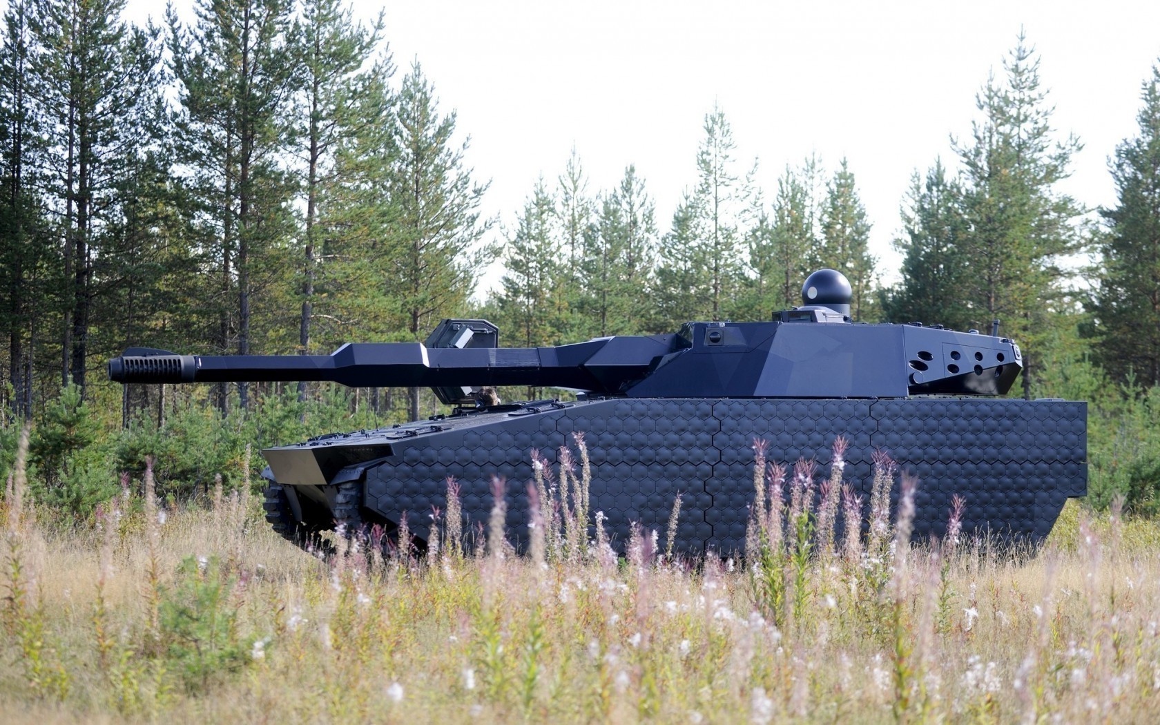 équipement au sol militaire guerre en plein air armée bois voiture paysage arme combat bataille été pistolet nature