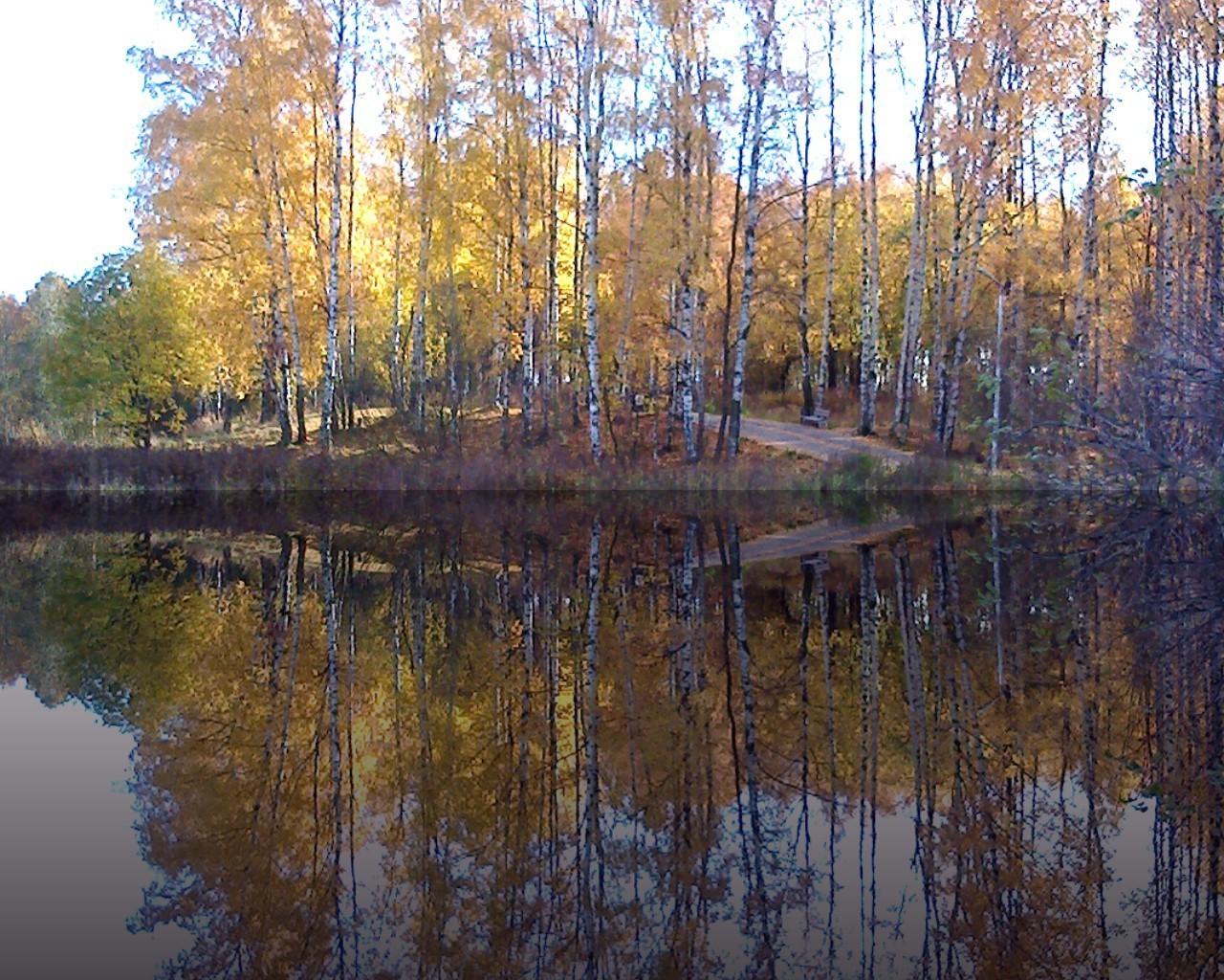 осень осень древесины дерево лист пейзаж природа среды сезон воды на открытом воздухе отражение парк золото озеро живописный филиал хорошую погоду свет река