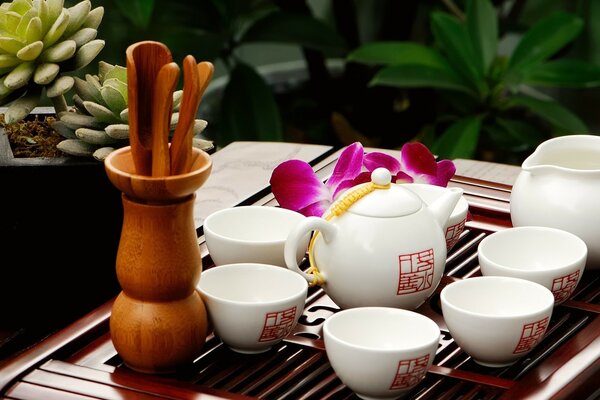 Tea ceremony in China